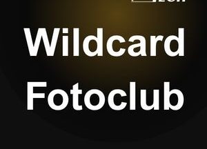 Wildcard